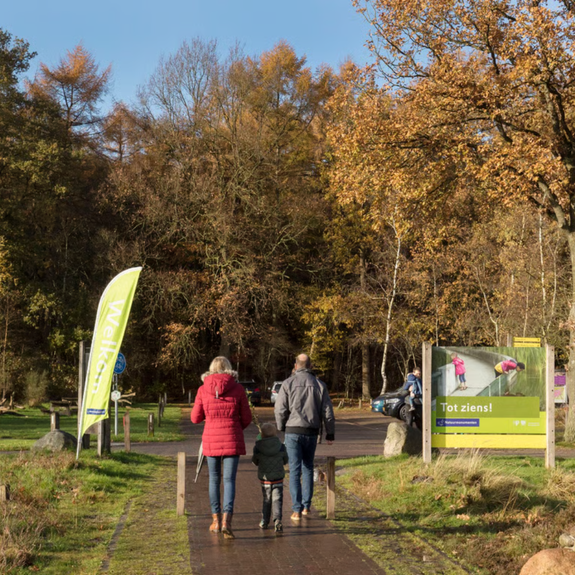 Herfstwandeling Dwingelderveld Natuurmonumenten