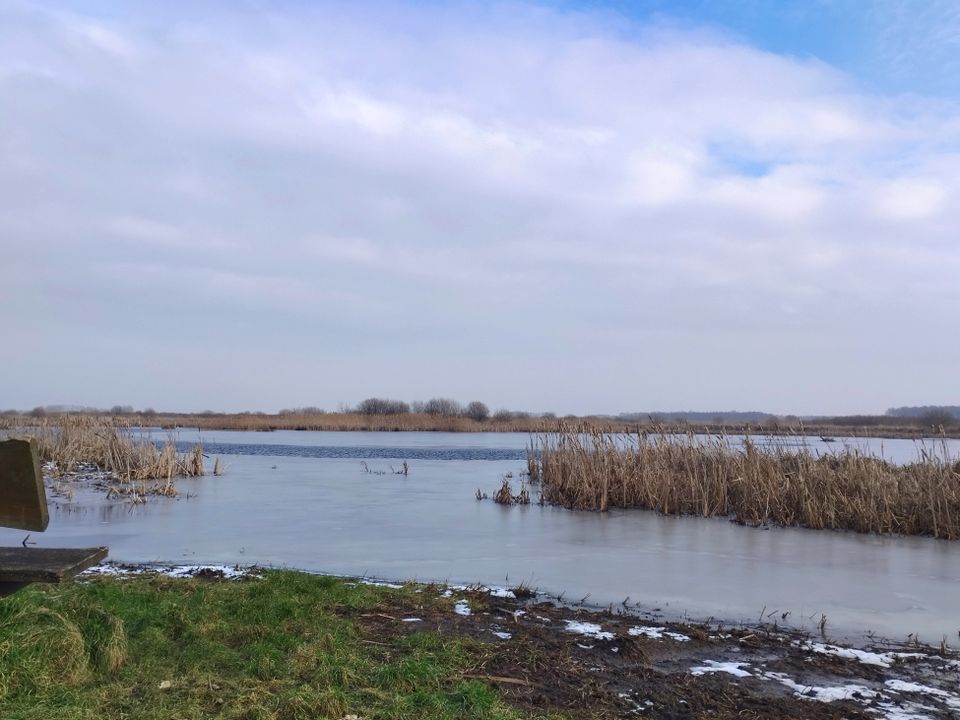 Ravenswoud - Fochteloërveen | wandelen langs de Turfroute