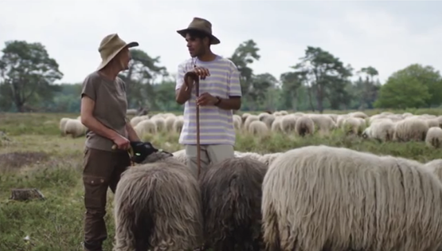 3op reis loopt een dag mee met de herder en haar schaapskudde.
