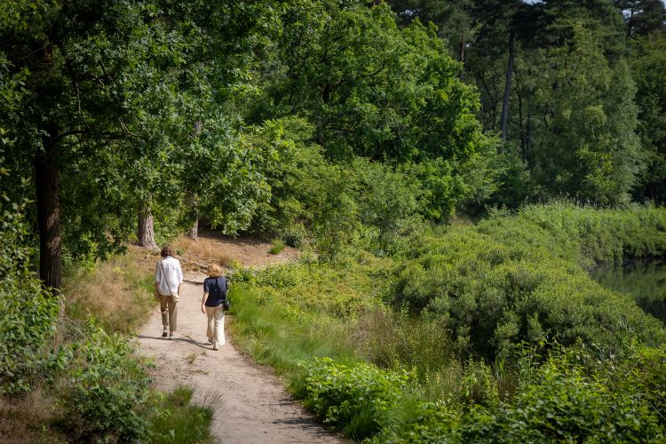 Twee vrouwen wandelen langs het Goorven in Oisterwijk