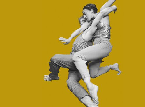 Dutch Dance Theatre: Into the Hairy