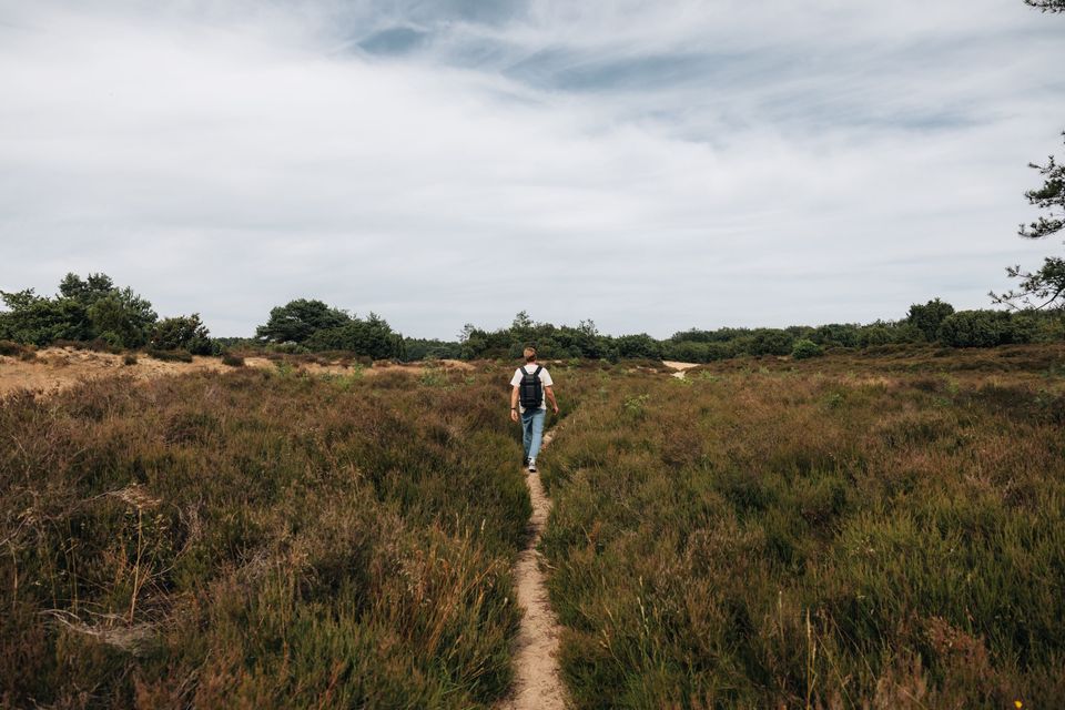 Ein Mann wandert über die Heidelandschaft von Drenthe.