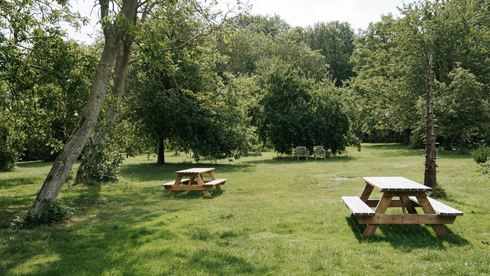 Veld met picknickbank bij Hofstede Lust & Last