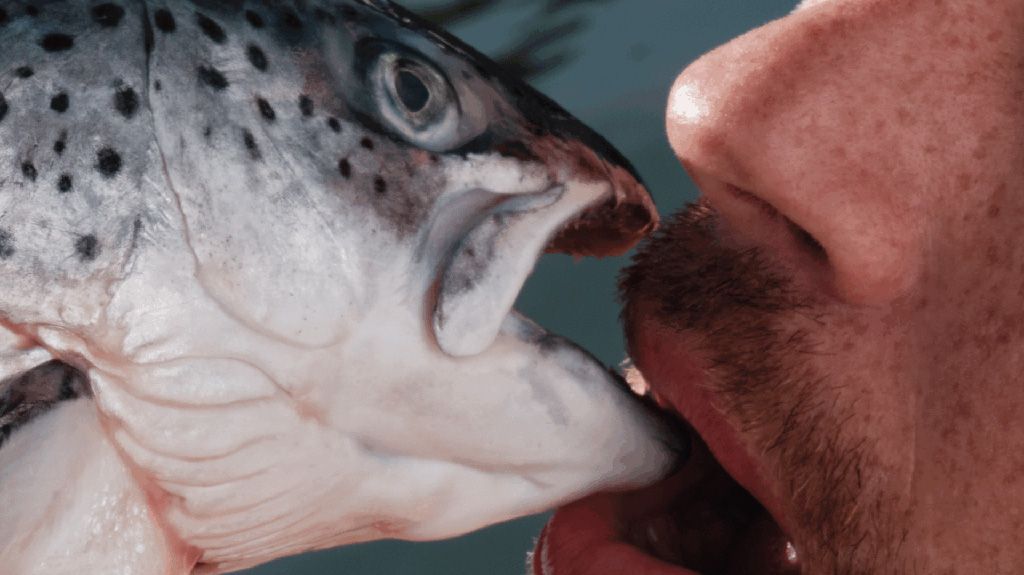 Nic Bruckman Projecten: Tussen de Mazen