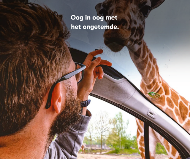 Oog in oog met het ongetemde