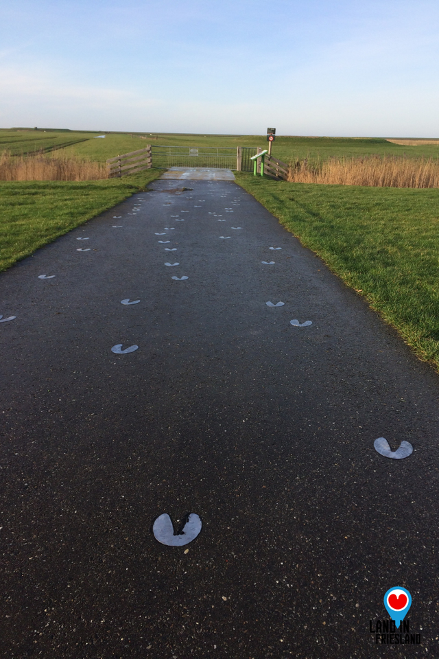 De Dobbepaarden van 2006 kregen hun eigen wandelroute