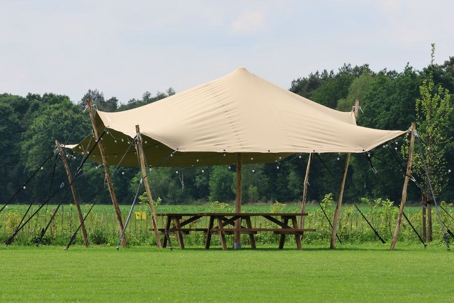 Mooie grote strechtent