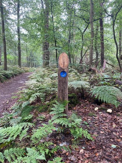Blauwe route