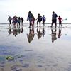 Wadexcursie Ontwakend Wad met de Waddenvereniging op Terschelling