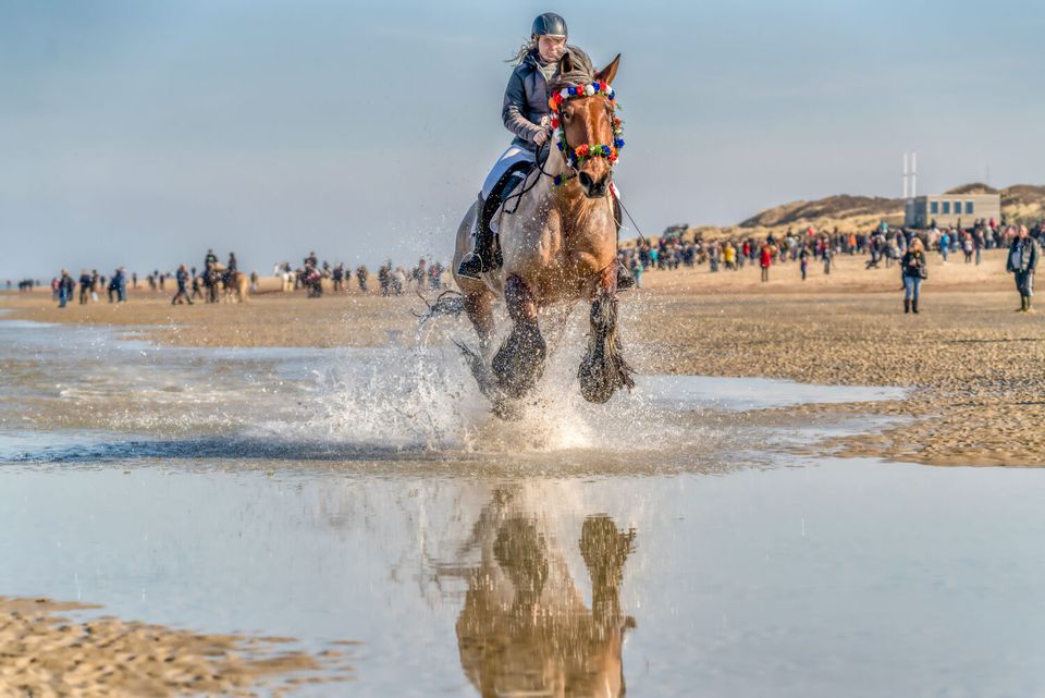 Erfgoed op Schouwen-Duiveland | Strao Rieen