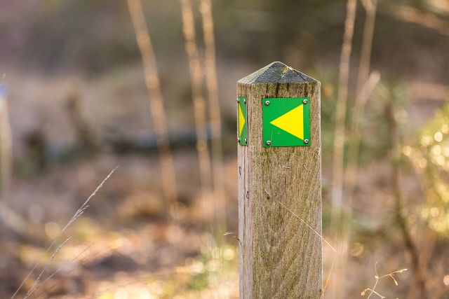 Een paaltje met daarop een wandelknooppunt langs een pad in het bos.