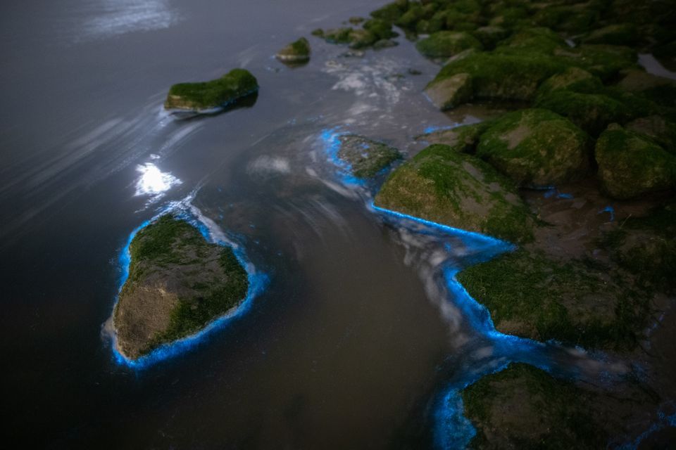 Photo with Sea Sparkle