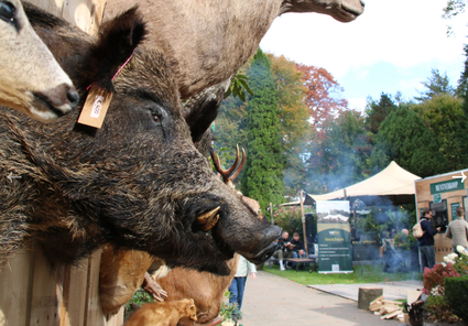 Wildfair met kraampjes in herfstsferen