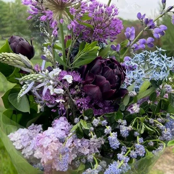 Bloemen bij Pluktuin De Peel