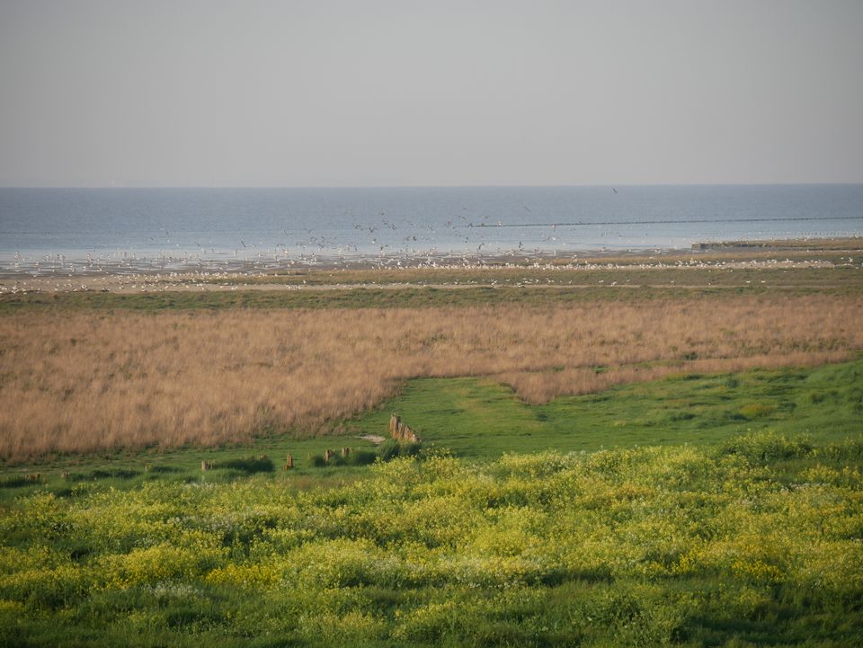 Jabikspaad | Fietsrondje Noardwest Fryslân