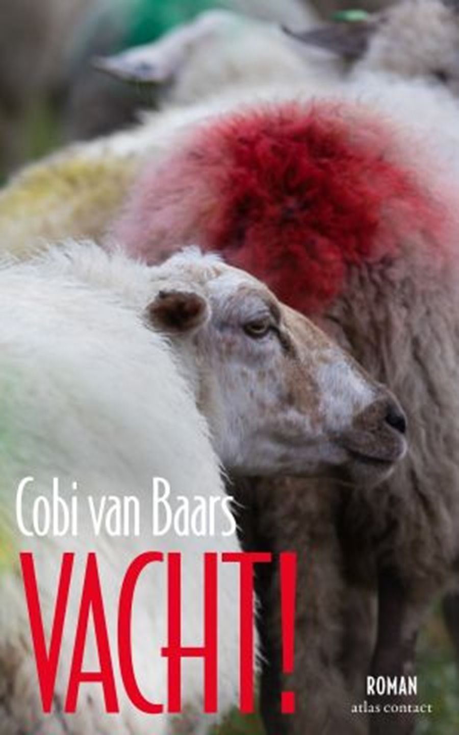 'Vacht' van Cobi van Baars