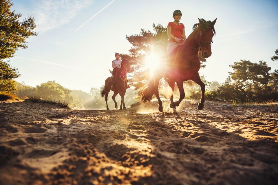 Twee ruiters rijden met hun paarden door de Drentse natuur bij zonsondergang.