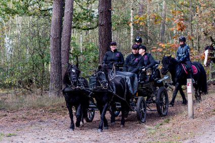 Ontdek de Kempen te paard!