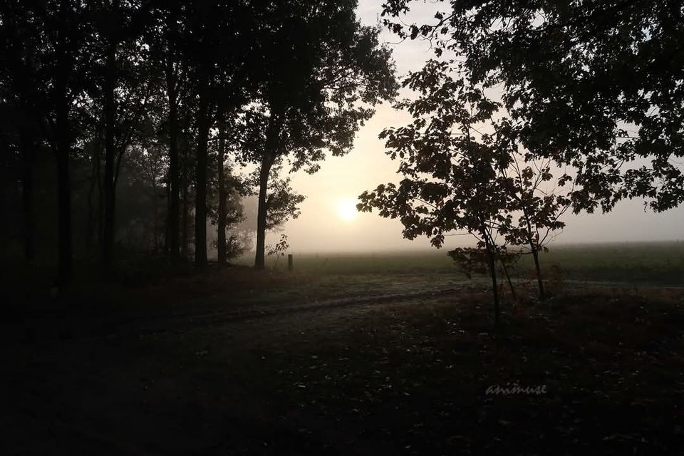 Natural history walk Lieshout