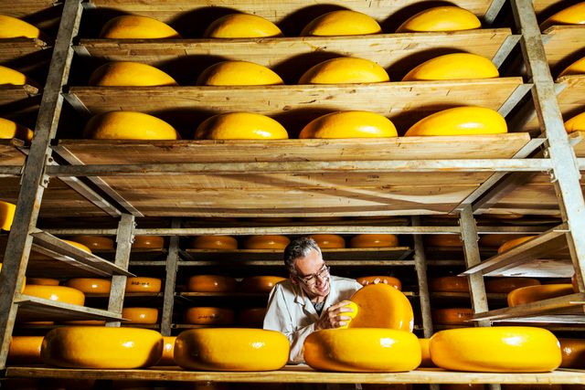 Groene Hart Cheese Valley