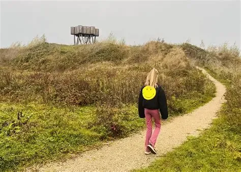 Panorama Fibula in de Loowaard bij Loo – een uitkijkpunt van kunstenaar Heidi Linck, geïnspireerd op een Romeinse fibula (speld) die hier werd gevonden.