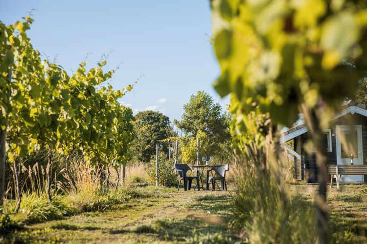 wijngaard De kleine Westrik