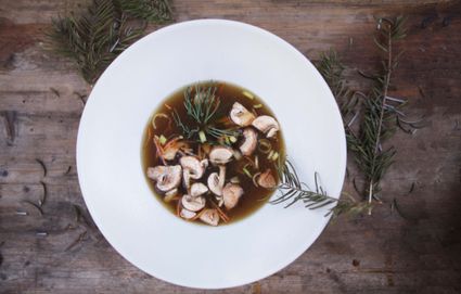 wildbouillon bij de waldhoorn