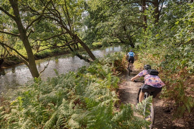 Foto van 2 mountainbikers die op een parcours langs het water fietsen.