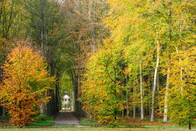 Herfst op Gooilust