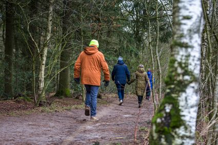 Wandelen in het bos in de winter