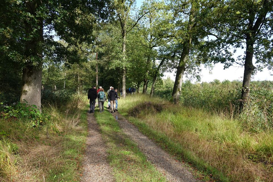 Wandelen op het landgoed