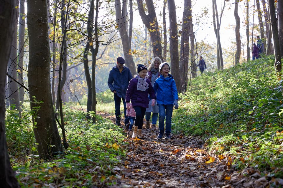 Op-Schouwen-Duiveland-Met-Het-Hele-Gezin-Wandelen-In-Het-Bos
