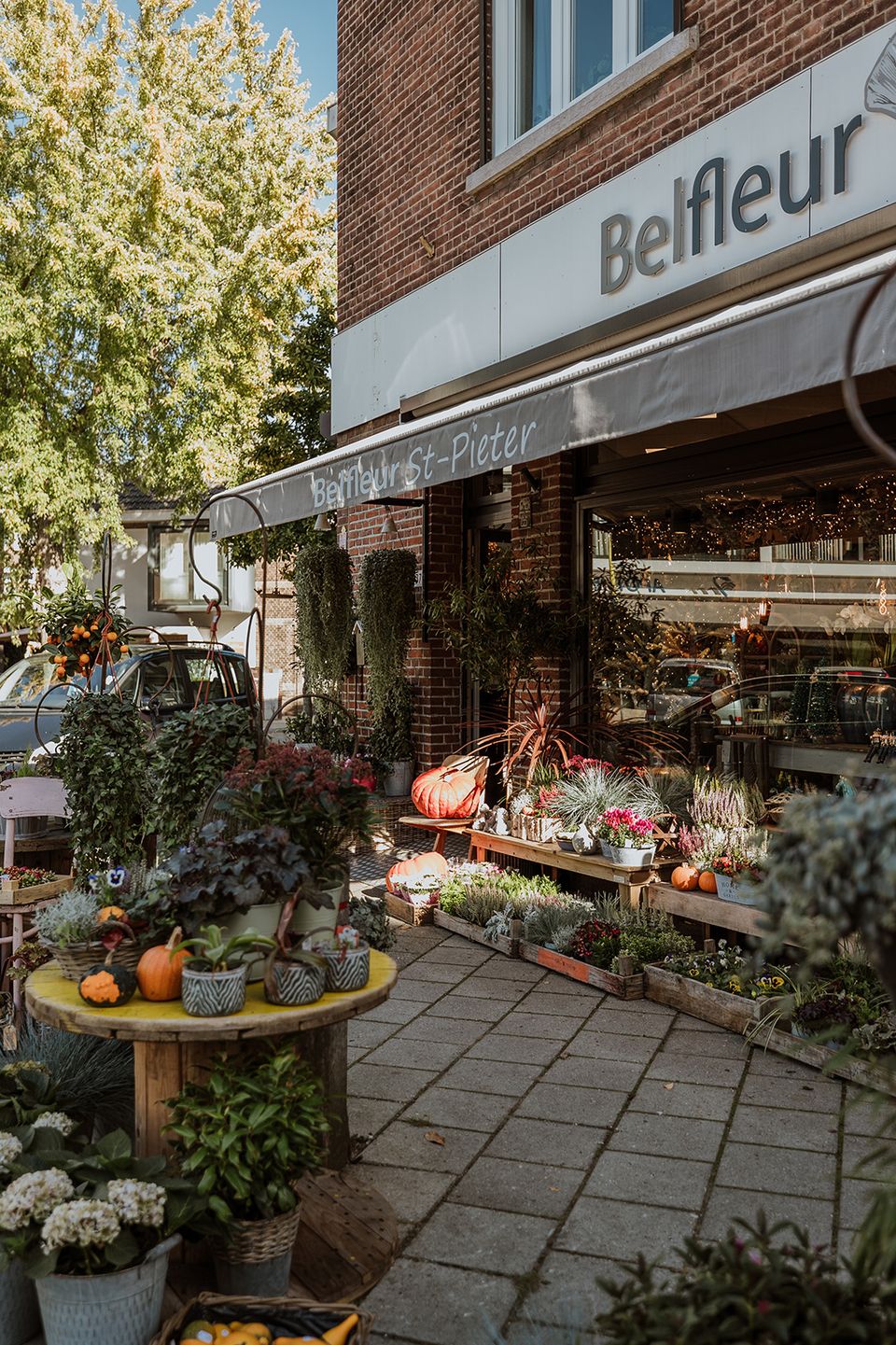 Belfleur Sint Pieter voorkant