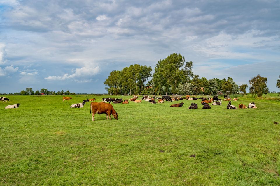 Pontjesroute de 8 van Grou