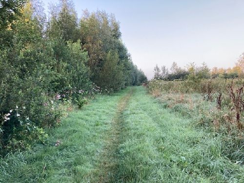 herfstwandeltocht DJA