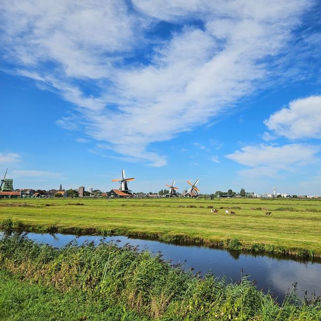 Expositie in het Molenmuseum; Het Kalf en de waterwolf