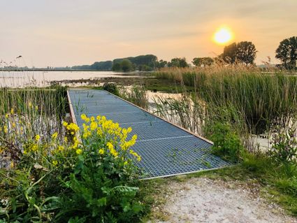 Wandelen en fietsen in de Nieuwe Dordtse Biesbosch