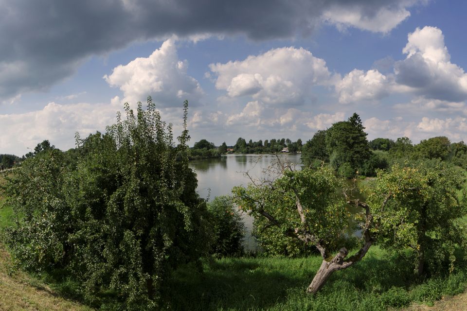 Foto van Wiel van Bassa