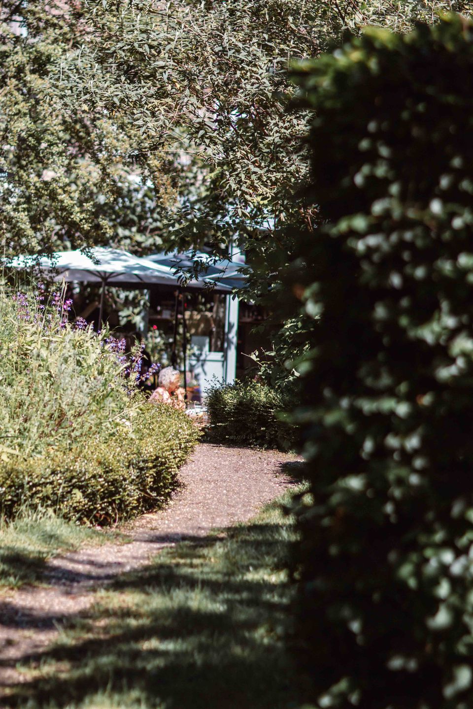 Marres garden trees
