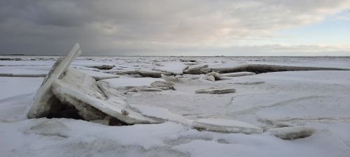 Het wad bij Noordpolderzijl