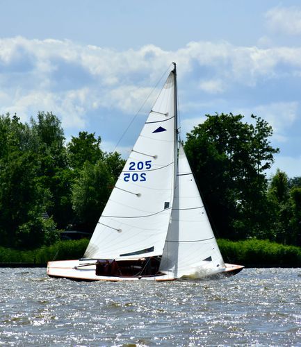 Zeilboot vaart over de golvende Reeuwijkse Plassen op een zonnige dag, omringd door groene bomen in het Groene Hart bij Bodegraven-Reeuwijk.