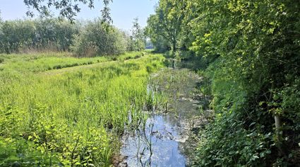 Public walk IVN Nature Garden De Bimd