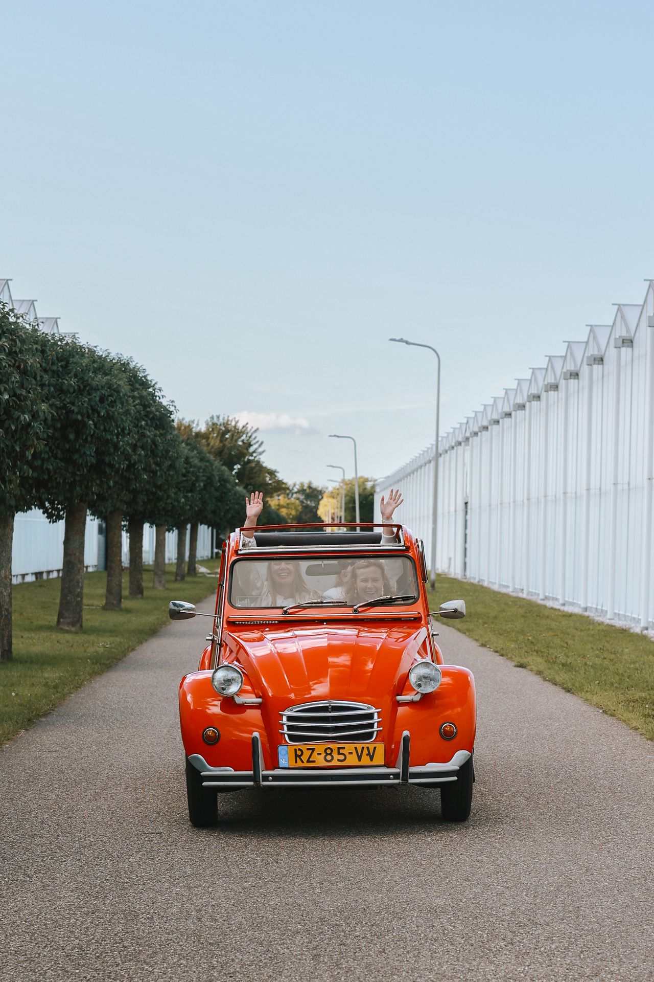 Lelijk eend huren in Westland