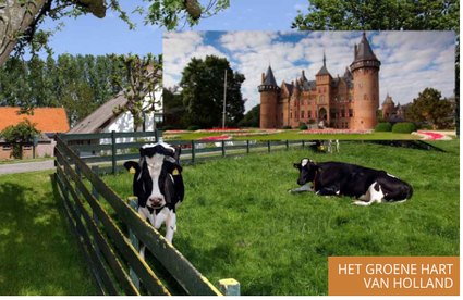 recreatiekrant zuid-holland