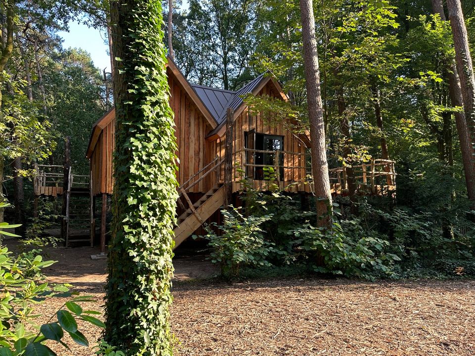 Boomhut Bed & Boshuisjes in Oisterwijk