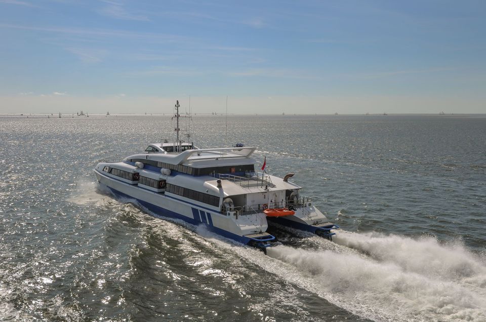 Tiger op weg naar Vlieland