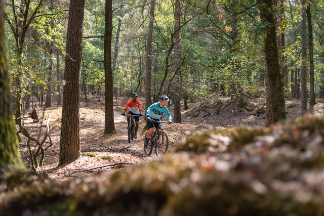 Zwei Männer vergnügen sich bei einer Mountainbiketour im Wald.