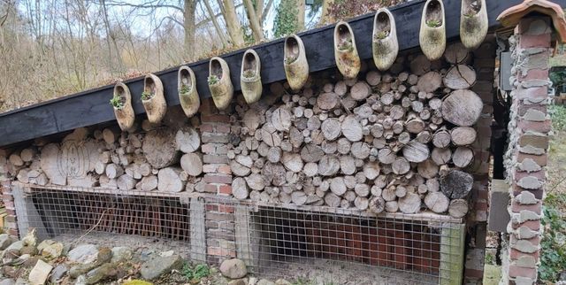 Publiekswandeling IVN natuurtuin Aarle-Rixtel