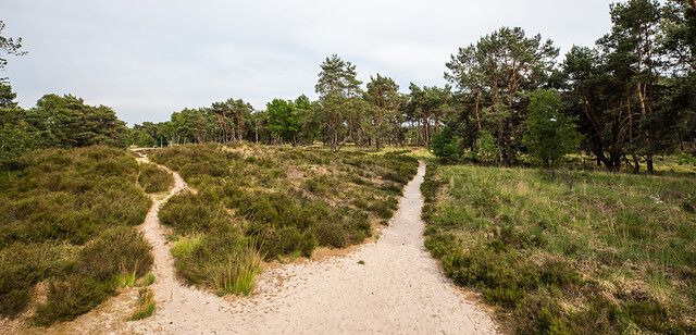 Kalmthoutse Heide