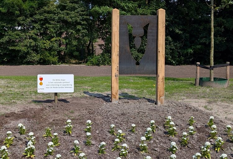 Veteranen - Witte Anjer Perkje